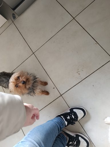 Visite à domicile